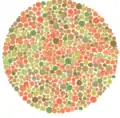 Ishihara Plate No. 29  (a line can be traced by many of those with red-green color blindness, but not by those with normal color vision)