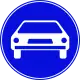 Road for motor vehicles only