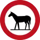 Animals prohibiton