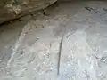 Jain beds