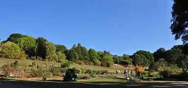 Panoramic view of the garden