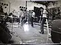 Jarocin Festival, 1984