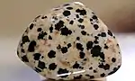 "Dalmatian jasper" - not a jasper at all but a form of the igneous rock Perthite. The black spots are composed of the rare amphibole arfvedsonite (and not, as often claimed, of tourmaline). Polished pebble.