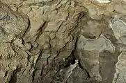 Spar crystals cover much of the walls in some sections of the cave. Typically they are a dull brown color as in this room.