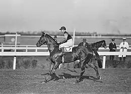 1925 winner – Manfred.