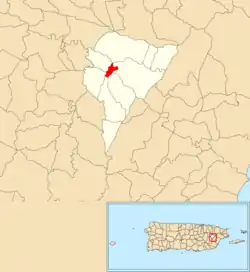Location of Juncos barrio-pueblo within the municipality of Juncos shown in red