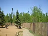 The playground and fence inside the park.