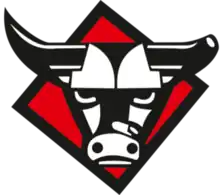 KK Gorica logo