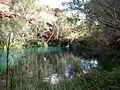 Fern Pool in Karijini National Park is a popular destination for tourists