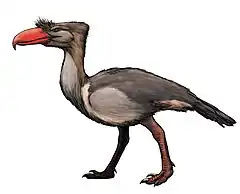 the Slender terror bird  (Kelenken guillermoi) was the tallest carnivorous bird ever averaging a height of 3&nbsp;m (9.8&nbsp;ft) and exceeded 100&nbsp;kg (220&nbsp;lb)  in mass.