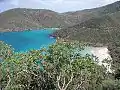 Basil Bay