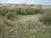 Ketton Quarries
