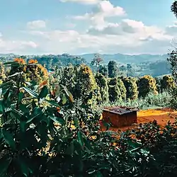 Village Scene in Kiswani Ward of Muheza District