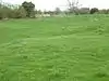 King's Cliffe Banks