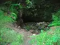 Robert Burns' Bath - the old cistern in the Kingen Cleugh Glen.