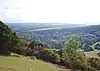 Kingley Vale