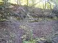 Late Triassic Steigerwald Formation and overlying Hassberge Formation in Schönbuch, Germany