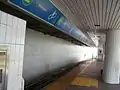 Platform view of the Downtown (Inner) Loop tunnel