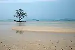 Shallow waters of the Gulf of Thailand, eastern lagoon