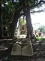 Old mill trough, chimney, and overgrowth