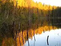 Kuradijärv lake