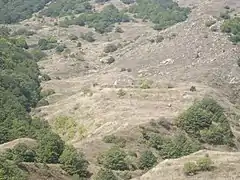 Scenery