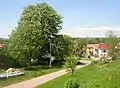 Huge horse-chestnut tree featured in coat of arms