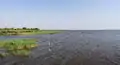 Lake Peipus (Lämmijärv) near Laaksaare.