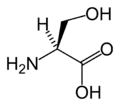 L-Serine(Ser&nbsp;/&nbsp;S)