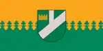 Flag of Pļaviņas