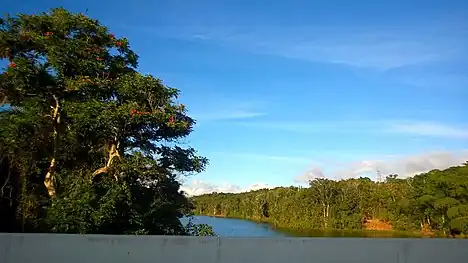 View of Lago de Cidra from PR-172 bridge