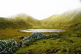 Grotões Pond