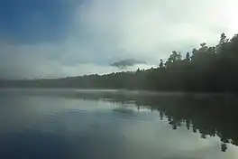 in the morning mist