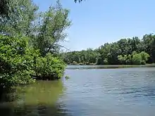 Calm lake surrounded by lush greenery