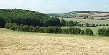 Lamsey Farm, Little Gaddesden