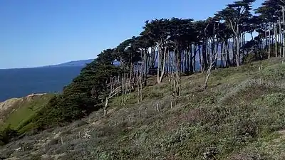 Lands End is south of the entrance to the Golden Gate