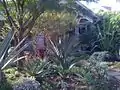 Landscape garden "28th Street"