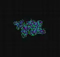 RLR: Grows chaotically. It is not known whether this ant ever produces a highway.