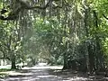 Road to Lebanon Plantation