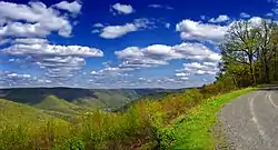 Pine Creek Gorge