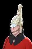 Life Guard (close up of helmet and plume)