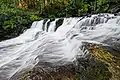 Liffey Cascade.