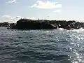 Little Lorraine harbour, Gull Rock