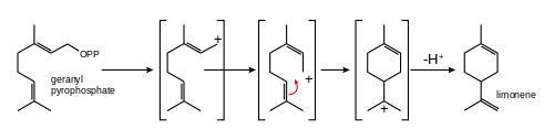 Biosynthesis of limonene from geranyl pyrophosphate