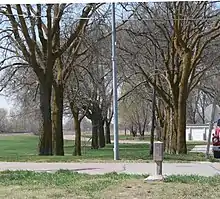 Concrete marker with inscribed arrow pointing toward avenue of hackberry trees