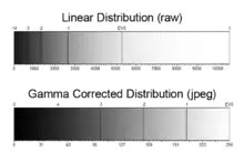 Comparison of linear and gamma-corrected tonal ranges, showing how each stop is recorded.