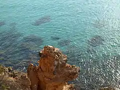 Clear water
