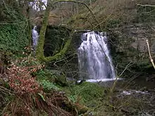 Lynn Spout on the Caaf Water; illustrating the thick limestone deposits in this area