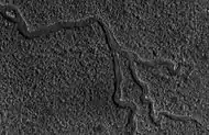 Channels in Lyot Crater as seen by HiRISE.