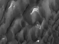 Lyot Crater Dunes, as seen by HiRISE.  Click on image to see light-toned deposits and dust devil tracks.